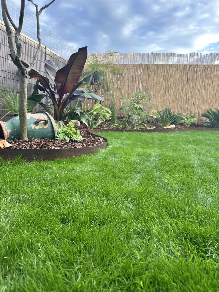 Gazon London Garden à villenave d'Ornon